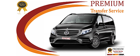 Mercedes Vito VIP 8+1